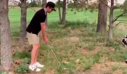 WATCH: Golfer clatters ball off a tree and into someones car!