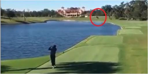Golf rules: This player hit a BIRD with his tee shot, but what happens next?!