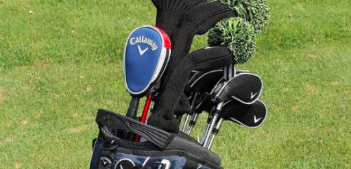 Golf fans react to player with a headcover for his GOLF BALL RETRIEVER!