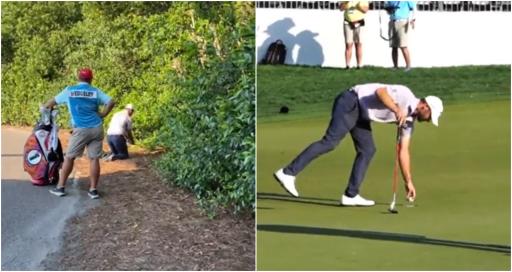 PGA Tour pro, from a bush, keeps dream alive with BONKERS finish