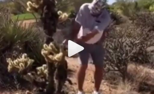 Golfer attempts shot from a cactus, made to look a right prick! 