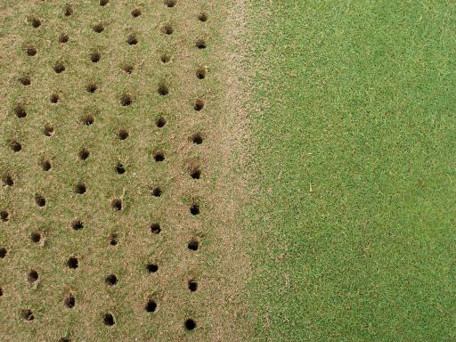 Why is it important to poke holes in your greens?