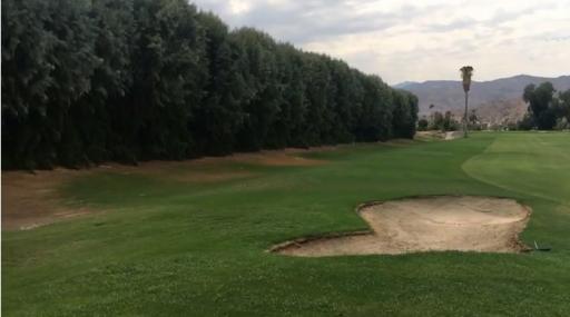 City officials commit to removing 'racist' trees from golf course