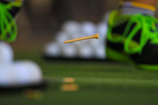 Golf Tees: Plastic or Wooden - which ones do you use on the course?