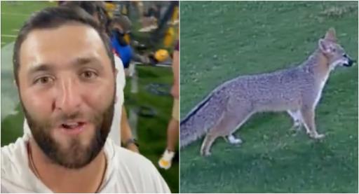 Jon Rahm attends Arizona State College game interrupted by a fox!