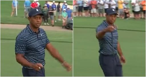 WATCH: Tiger Woods snaps at camera operator during PGA Championship
