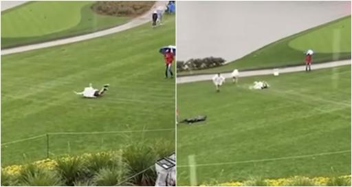 WATCH: Fans at TPC Sawgrass belly slide in the rain at iconic 17th hole