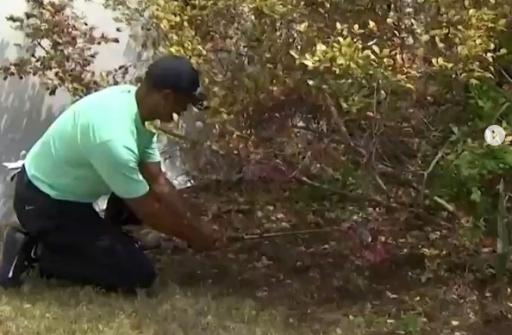 Woods loses to Snedeker but plays INCREDIBLE shot from under a tree!