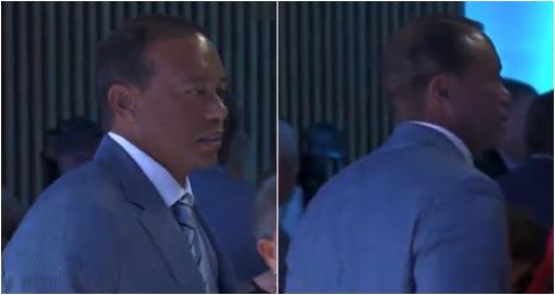 WATCH: Tiger Woods SMACKS Davis Love's bum at HoF ceremony