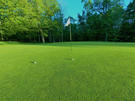 Members REPORT golfer who gets DISQUALIFIED for green damage