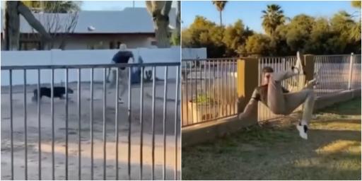 Golfer skips fence, grabs lost ball and SOMERSAULTS to safety as dog chases him