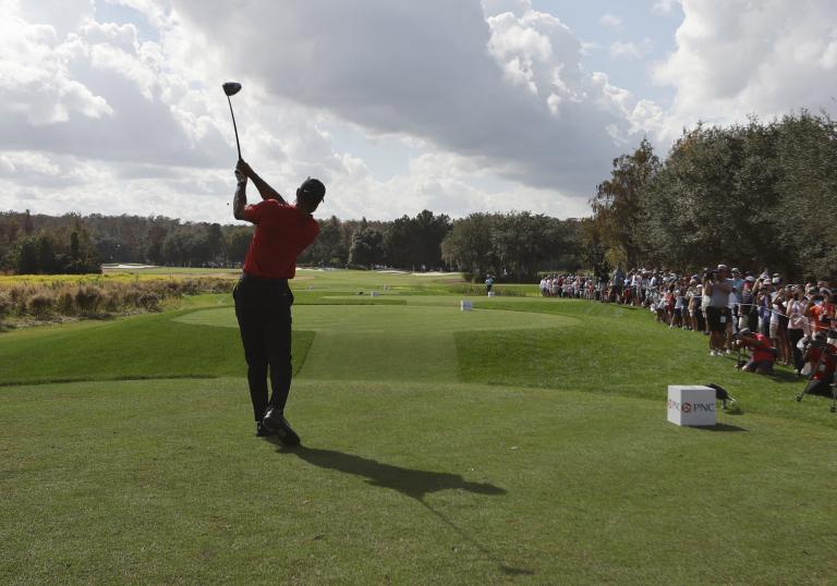 Rory McIlroy: I love every version of Tiger, but I like this one