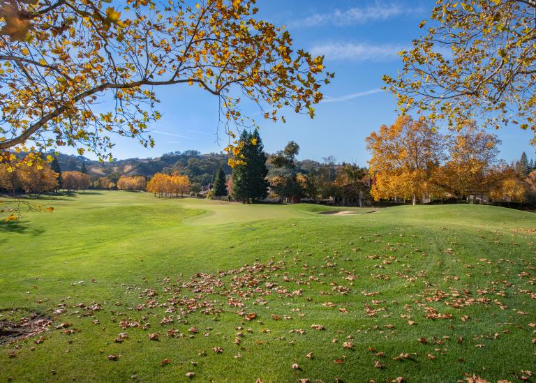 Did you know about this "LEAF RULE" ahead of your autumn and winter golf?!