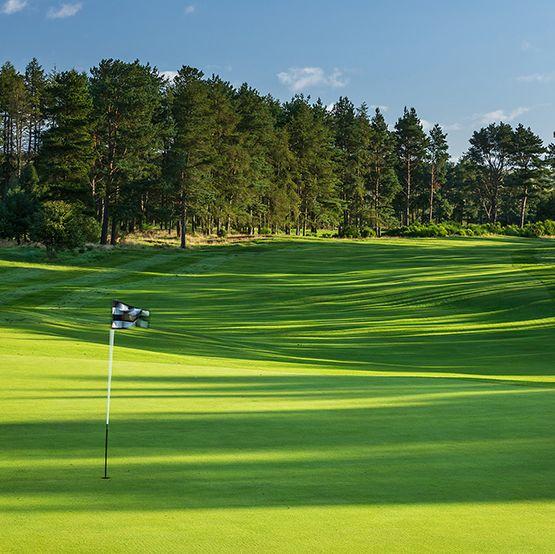 Best UK Golf Memberships for £315 OR LESS with Play More Golf