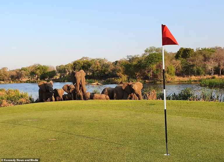 The WILDEST golf course in the world