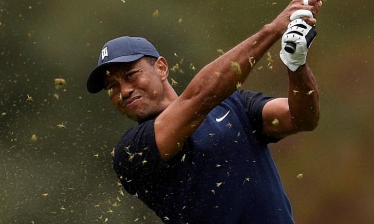 Tiger Woods' former caddie Steve Williams once called him "OVERRATED"