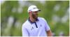 Golf fans speculate whether clip of Dustin Johnson at LIV Golf is legit