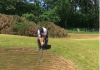 Did you now this rule about your ball being embedded in the face of a bunker?