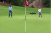Did you know this rule about caddies standing on their player's putting line?