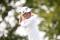 Justin Thomas and Brooks Koepka star in CJ Cup Featured Groups