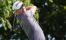 Justin Thomas on Sunday at AT&T Byron Nelson: "14-under is EXTREMELY doable"
