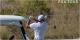 Tiger Woods swing: Big cat filmed STRIPING fairway woods at Hero World Challenge