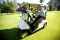 golf buggies may require motor insurance