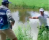 European Tour player Pedro Figueiredo saved from FALLING WATER by his caddie!
