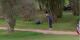 Richard Mansell hits SHOT OF THE YEAR contender to go low at Mallorca Golf Open