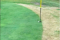 WATCH: How on earth did this putt NOT GO IN the hole?