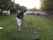 Man pulls gun on golfer after he chips ball into his backyard