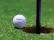 Beetle pushes golf ball into the hole! Here's the official ruling...
