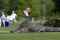 cleveland putter saves golfer in alligator attack