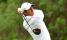 Rory McIlroy storms PGA Tour Driving Distance, LIV Golf player still in Top 10!