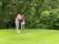 WATCH: The greatest STINGER video we have ever seen! Tiger Woods would love this