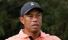 Tiger Woods gives big injury update and reveals his new TGL team