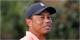 Tiger Woods: NFL star Deebo Samuel shows he's a big cat fan