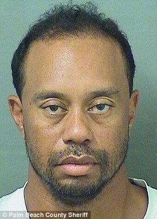 Photos released of Tiger Woods' car during DUI arrest