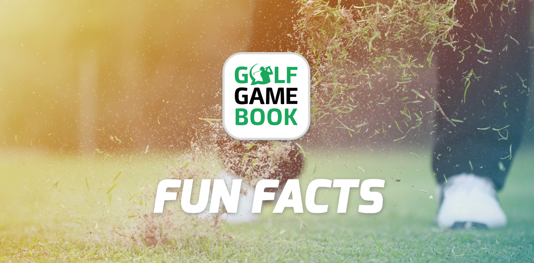 Golf GameBook reveals FUN FACTS from its rounds of golf played in 2019