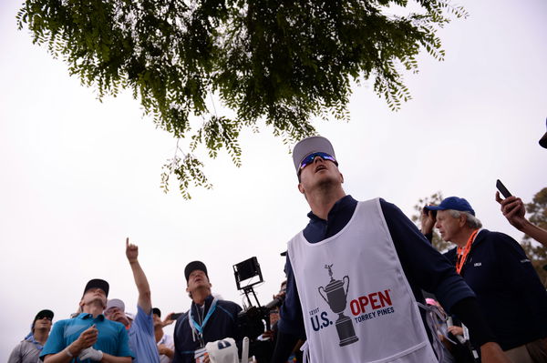 Mackenzie Hughes' golf ball STAYS IN A TREE at the US Open!