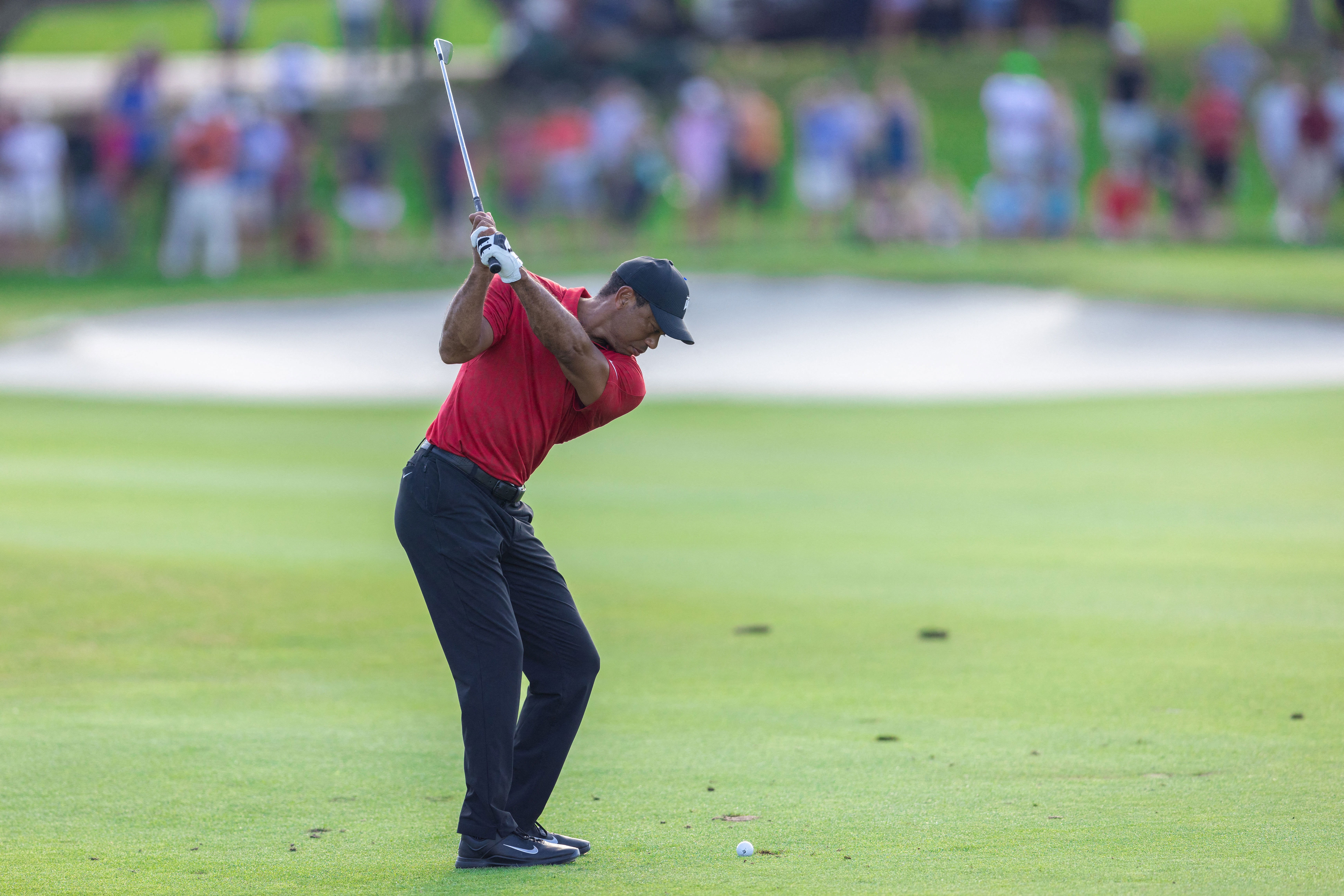 How is Tiger Woods doing? What is the latest on Tiger Woods?