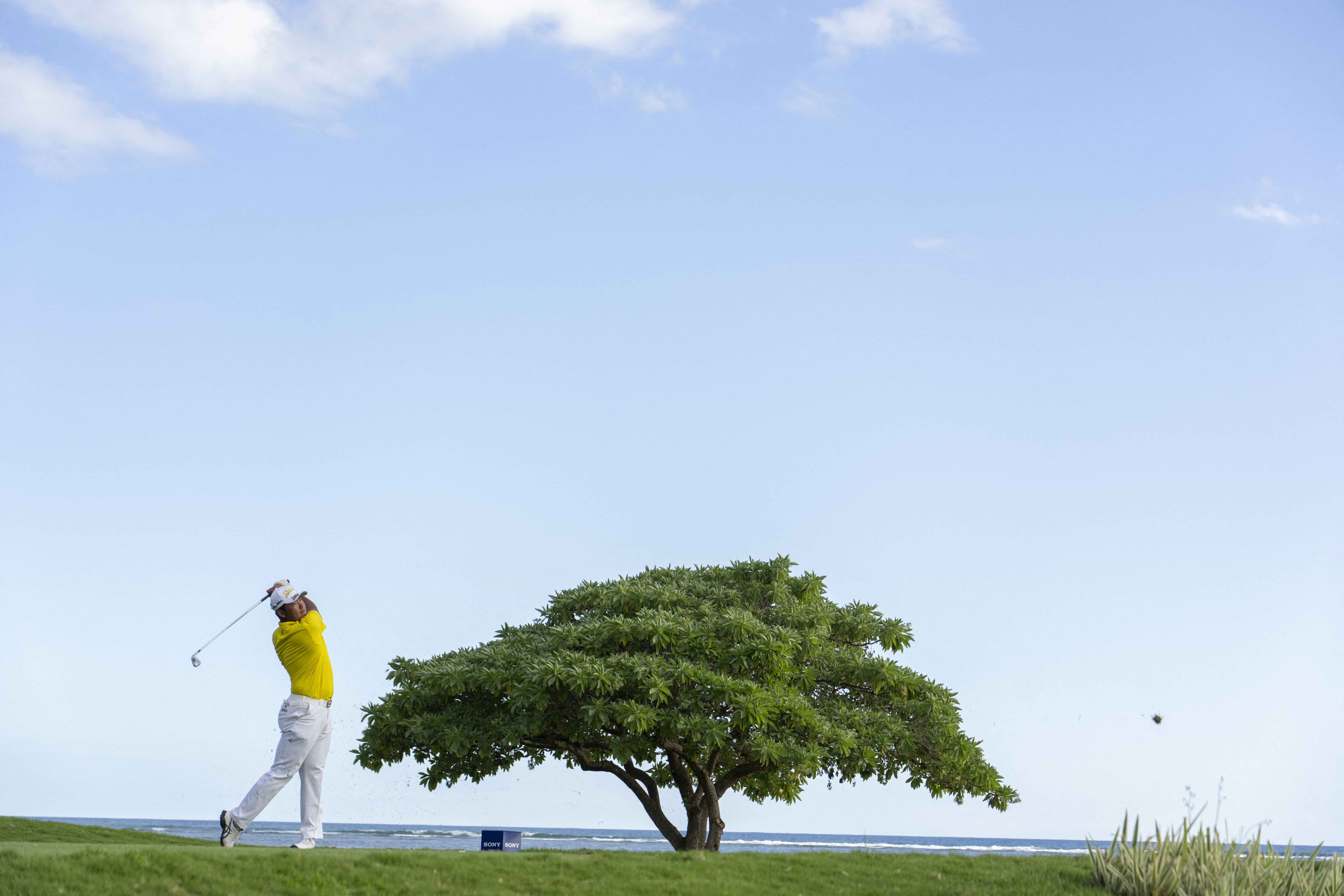 Sony Open 2022: Full payouts as Hideki Matsuyama picks up $1.3m