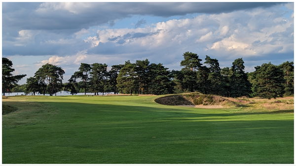 16th Hole (Walton Heath Old Course)