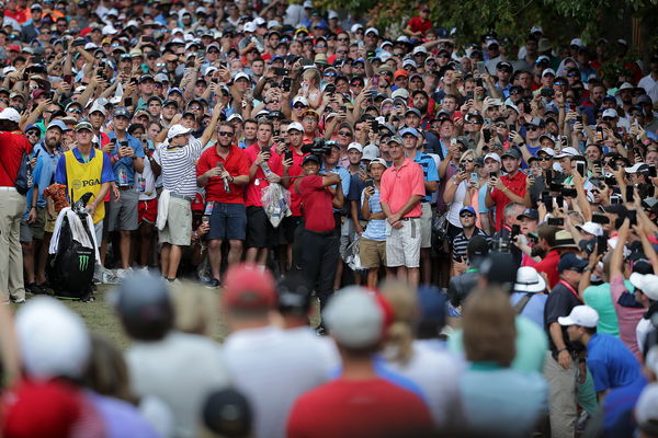 Koepka didn't hear roars, but admits Tiger 'pushed him' 