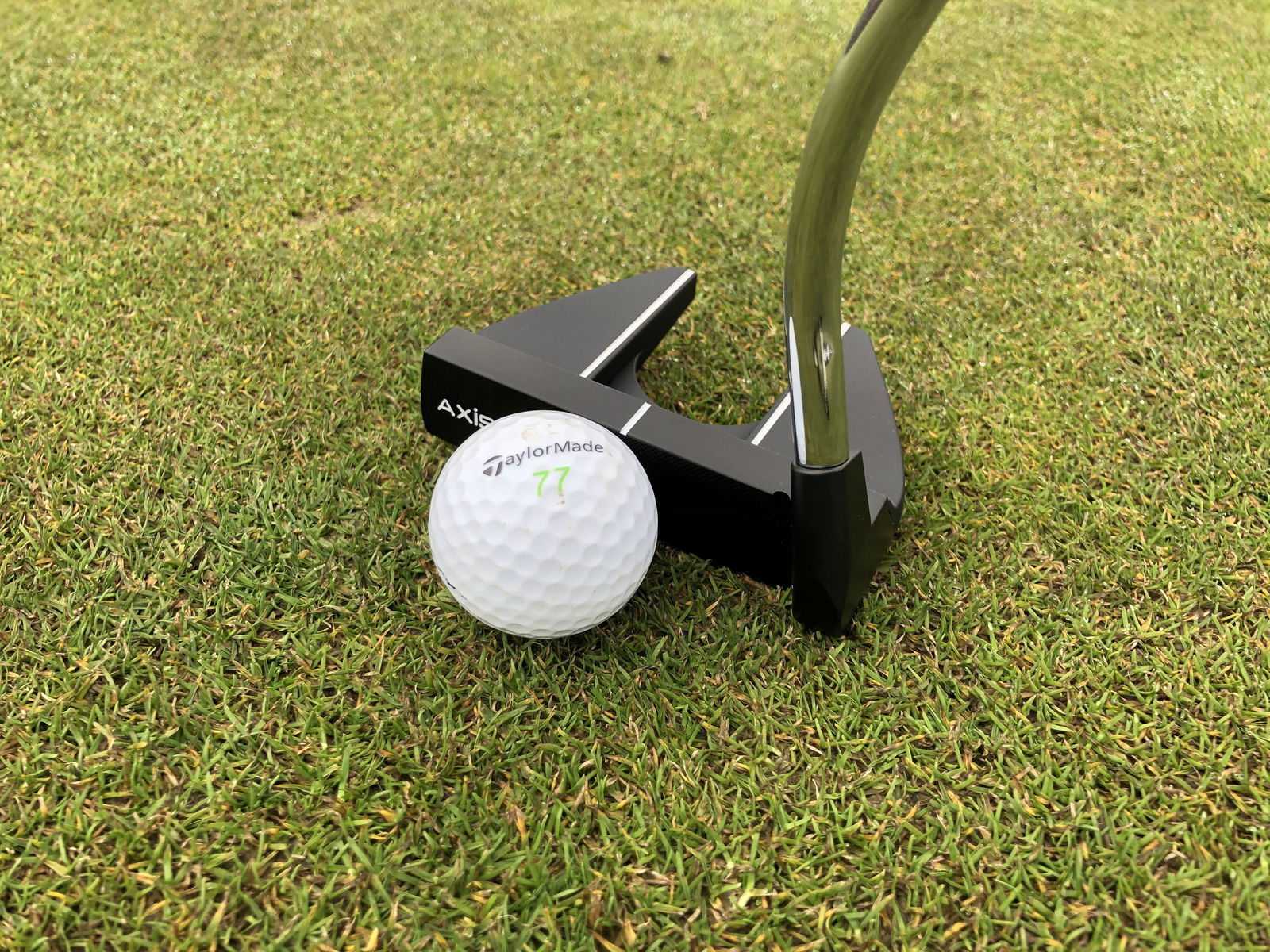 AXIS1 Rose Putter Review