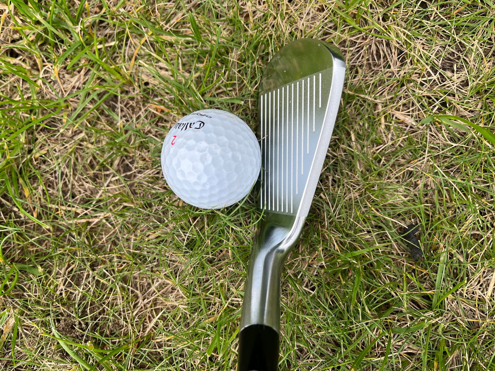 Takomo 301 vs 101 irons Review: 