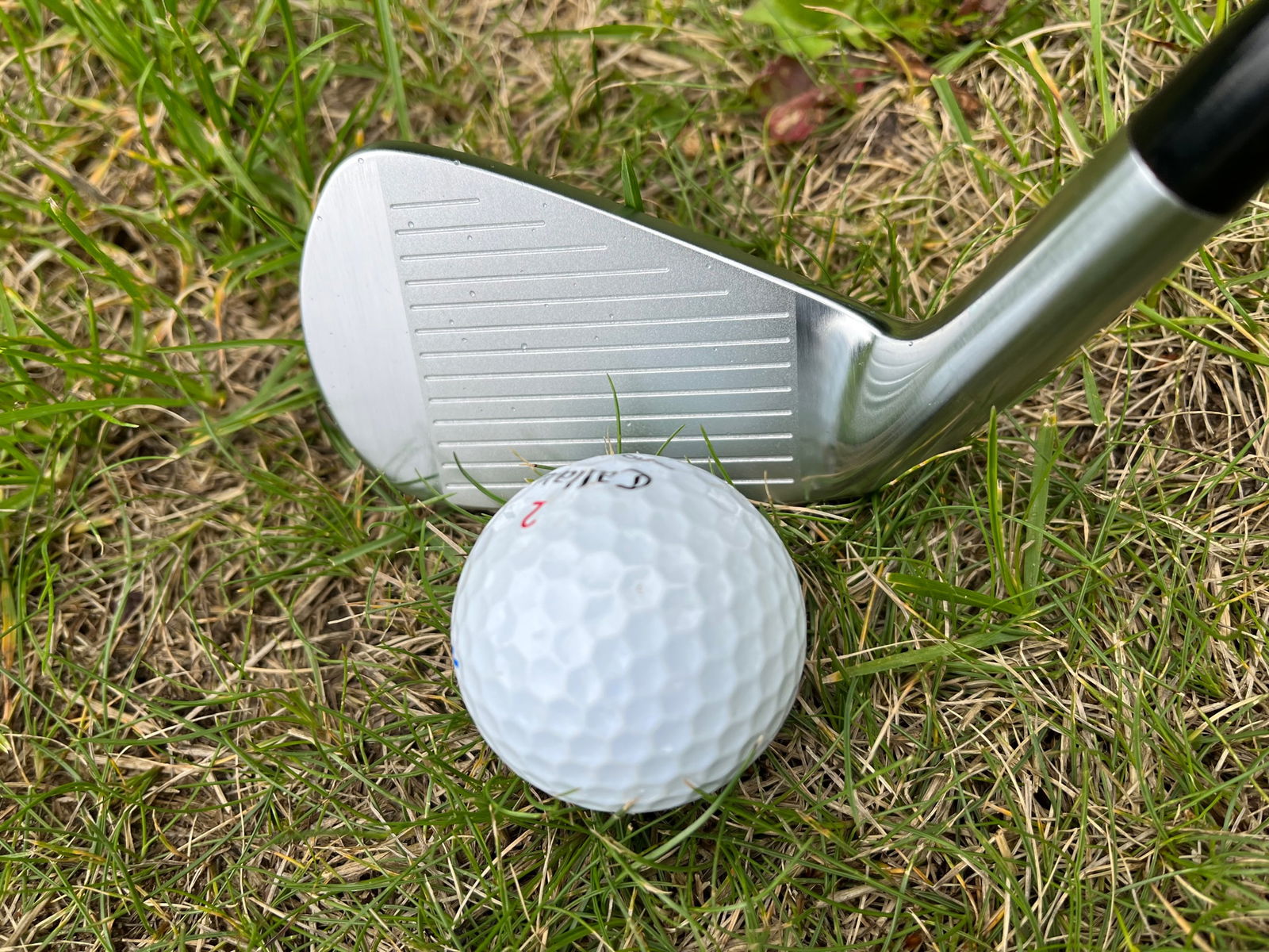 Takomo 301 vs 101 irons Review: 
