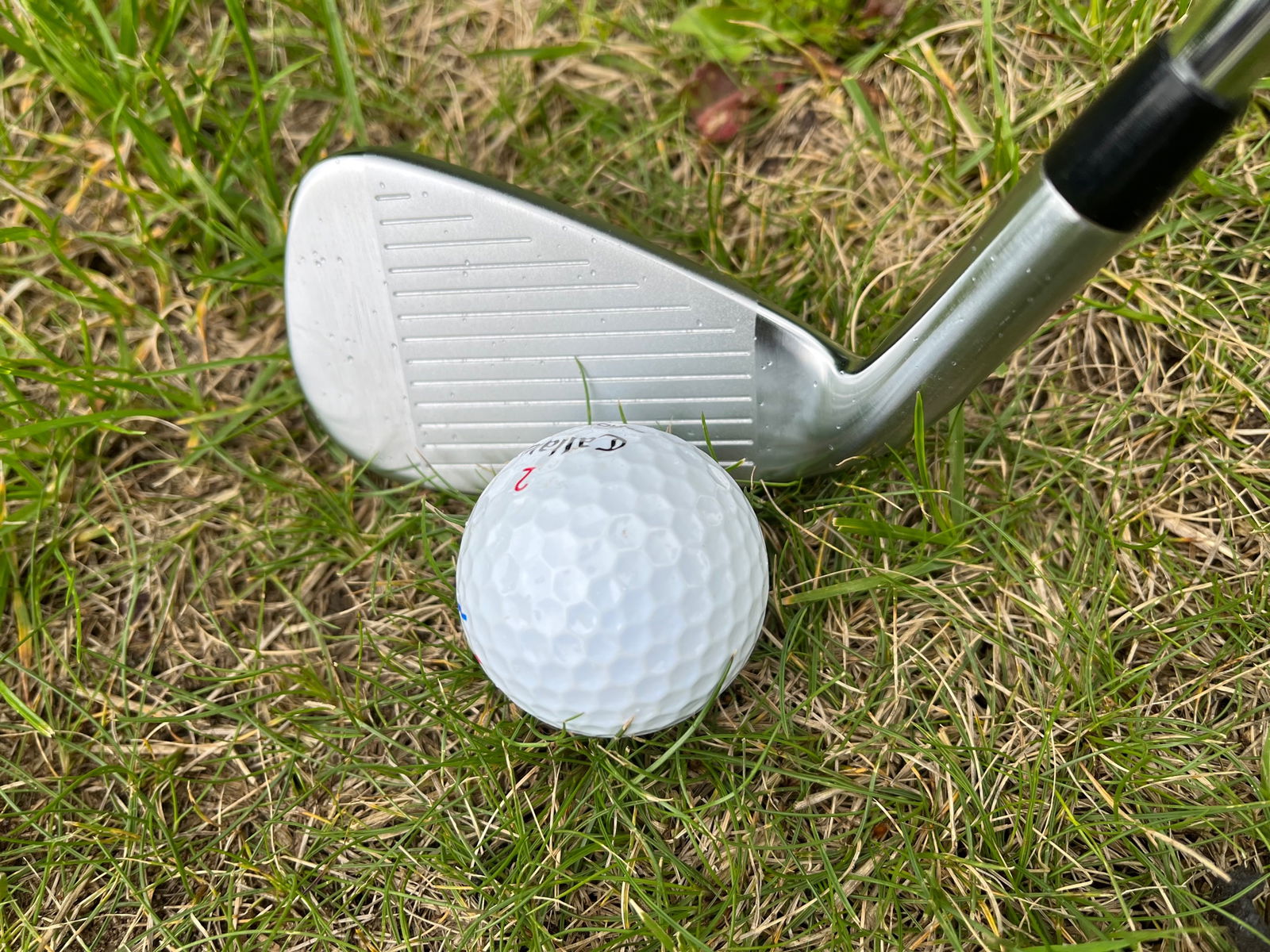 Takomo 301 vs 101 irons Review: 
