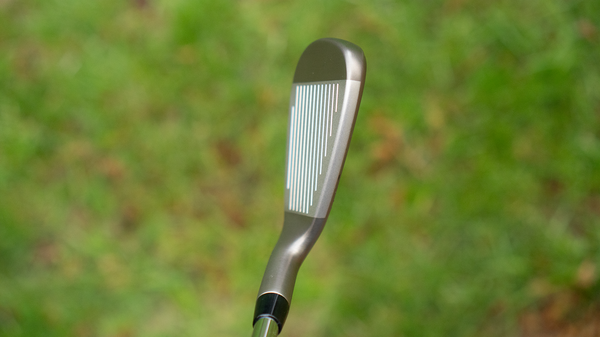 Cobra Darkspeed Irons