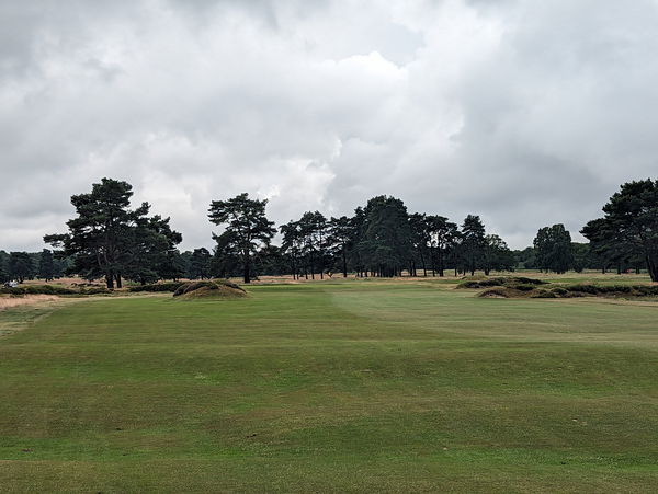 4th Hole (Walton Heath Old Course)